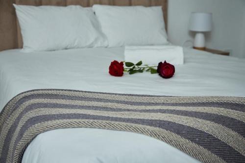 Matsapha Apartamento | Serene Haven Apartments