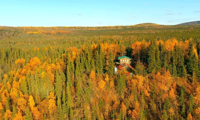 Nenana Cabina | Serene Wilderness, Fly-in, Guest Cabins at Gold King Lodge, WiFi, Sauna & More