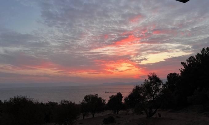Mytilene Cabina | Serenity Lodge, an eco olive groove facing the Sea surrounded by pine forest
