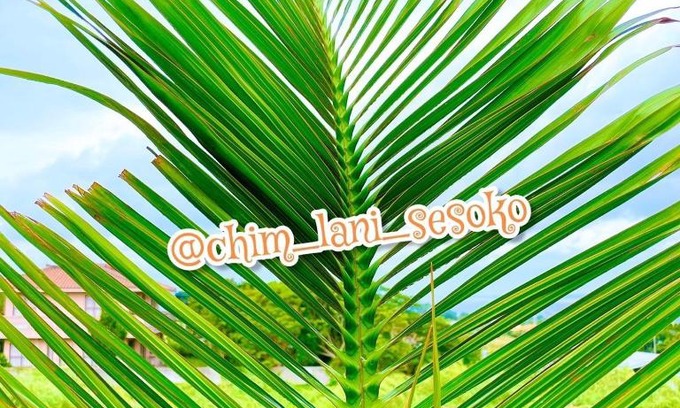Motobu Casa | Sesoko Log Cabin [Chimu lani] - Vacation STAY 26745v