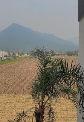 Palhoca Apartamento | Seu lar em Santa Catarina! Ao lado do Morro do Cambirela