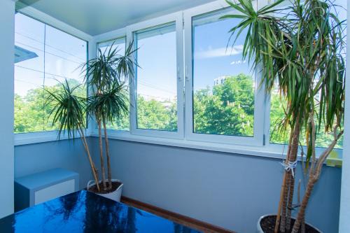 Vyshneve Apartamento | Seven Apartments 66