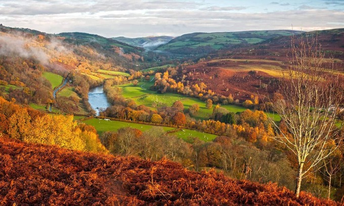 Builth Wells Chalet De Esquí | Sgrech y coed - Jay