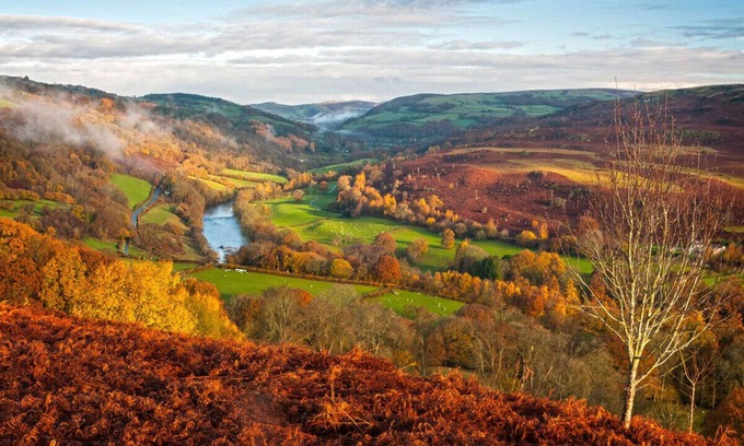 Builth Wells Apartamento | Sgrech y coed - Jay