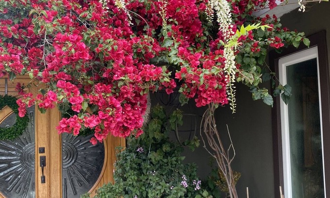 Mesa Del Mar Casa | Shabby Chick Studio in the heart of OC