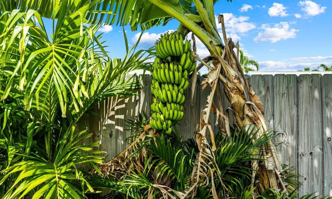 Boynton Beach Casa | Shady Grove Villa