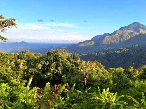Ella Cama Y Desayuno | Shambala Retreat-Villa in Ella with mountain & Waterfall Views