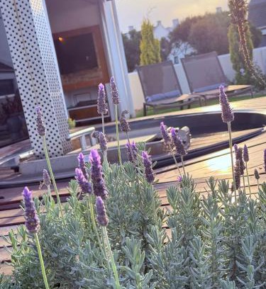 Shelley Point Casa | Shelley Shores