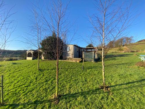 Newbridge Casa | Shepherds Hut-1 Bed-Hot Tub -views