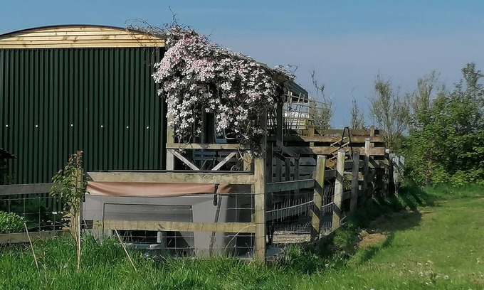 Maenclochog Casa | Shepherds Hut with stunning Pembrokeshire hill views