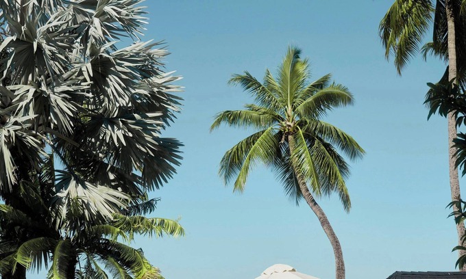 Nadi Complejo | Sheraton Fiji Golf & Beach Resort