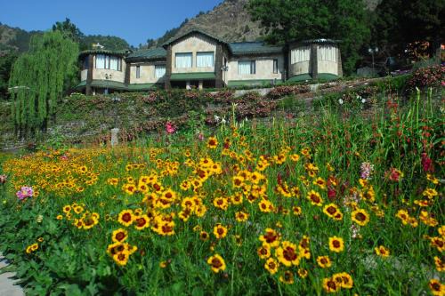 Nainital Complejo | Shervani Hilltop Resort