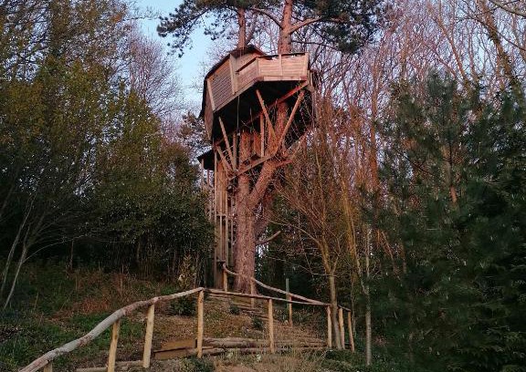 Etretat Cama Y Desayuno | SHERWOOD TREE