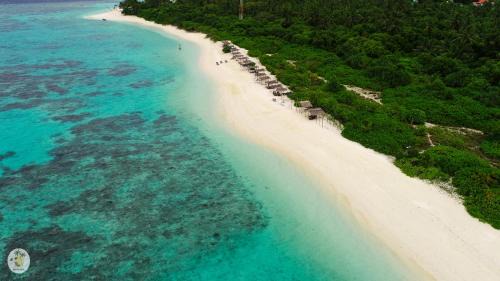 Feridhoo Casa | Shifa Lodge Maldives