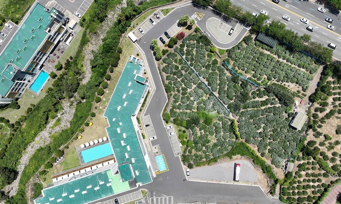 Nohyeong-dong Hotel | Shin Shin Hotel Jeju City