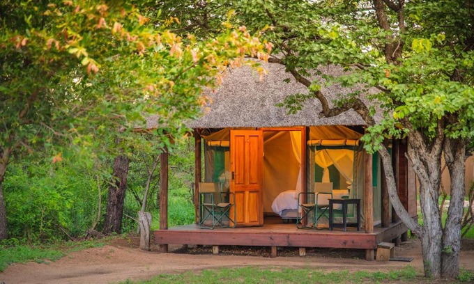 Thorny Bush Game Reserve Otro | Shindzela Tented Camp