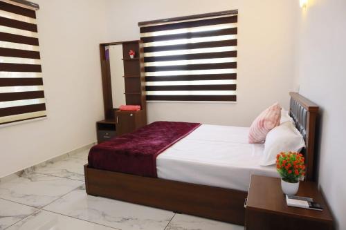 Alappuzha Casa | Shining Star