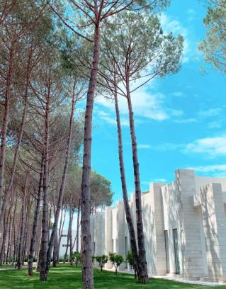 Ishem Apartamento | Shiny San Pietro Apartment