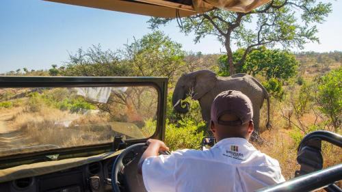 Kruger National Park Chalet De Esquí | Shishangeni Lodge In Kruger National Park