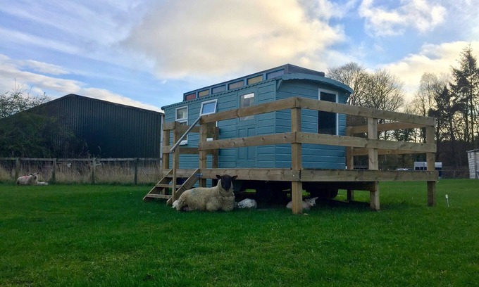 Hawick Cabina | Showman's Hut @ Westcote