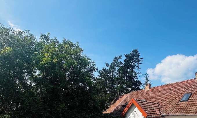 Pasym Apartamento | Sielski Loft Mazury w pobliżu jezior, Elganowo, Pasym
