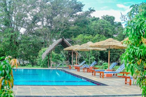 Sigiriya Casa | Sigiriya Peacock Homestay
