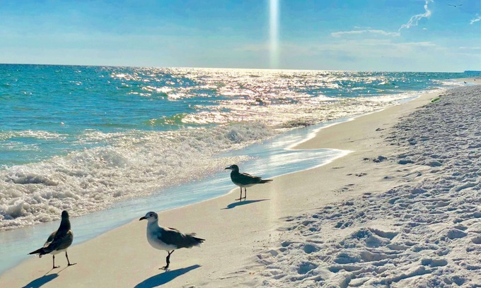 Destin Condominio | Silver Dunes Condominium