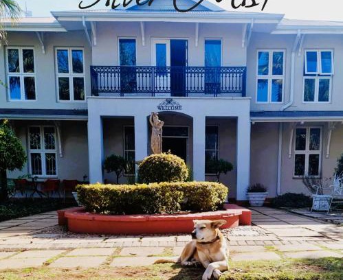 Kaapsehoop Casa | Silver Mist Guest House, Country Inn and Herberg