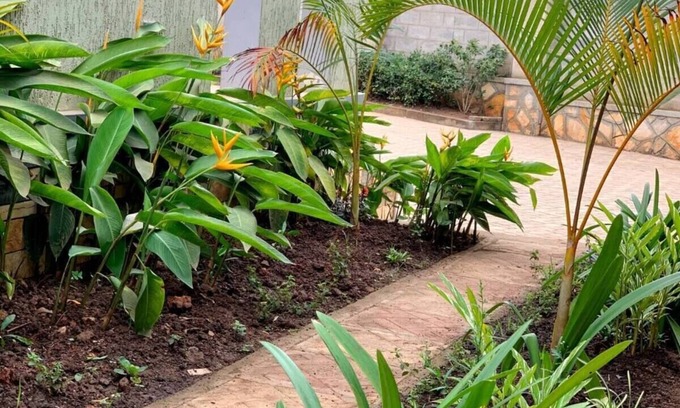 Namugongo Cama Y Desayuno | Silver Stone Cribs