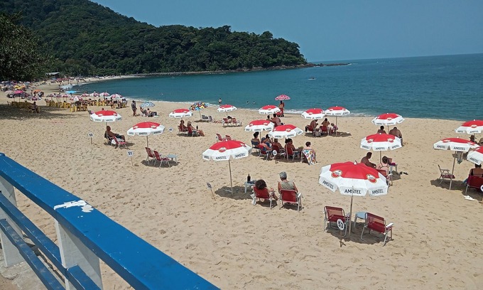 Boicucanga Beach Chalet De Esquí | MAR DE FAUNA Y FLORA EN PLAYA DE BOIÇUCANGA