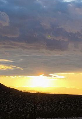 Joshua Tree Otro | Simply Camping