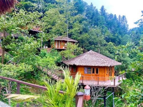 Sa Pa Apartamento | Sinai Bungalow & Hotel SaPa
