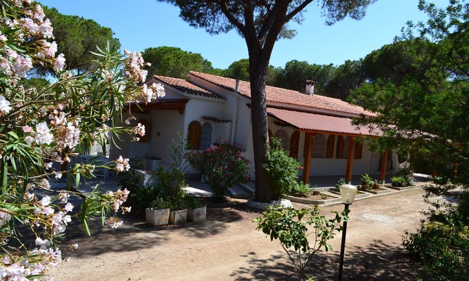 Eden Rock Villa | Villa individual inmersa en un bosque de pinos de 13000m² Santa Margherita