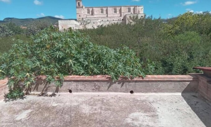 Yanhuitlán Apartamento | Single room