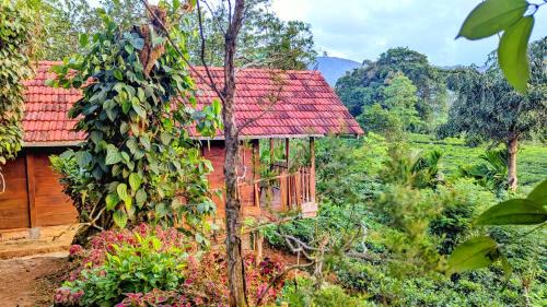 Kotapola Casa | Sinharaja Forest Lodge - Deniyaya