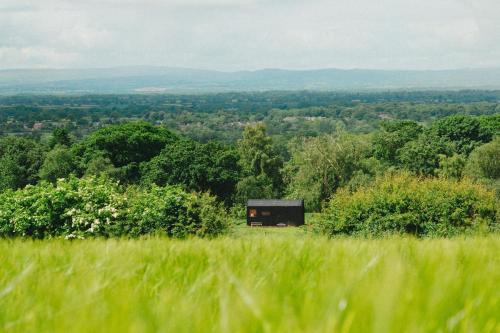 Cheshire West and Chester Casa | Sirius