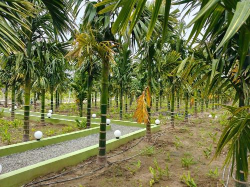 Coimbatore Casa | Siruvani Farm Stay Near Isha Yoga Adiyogi