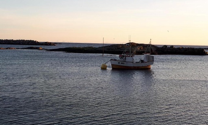 Moskenes Apartamento | Sjøhaug Rorbu