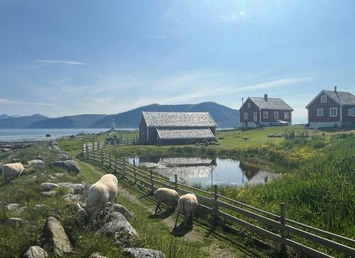 Godøy Casa | Sjarmerende Bolig På Gammel Fyrstasjon