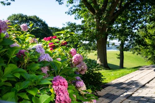 Skanderborg Hotel | Skanderborg Park