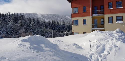 Loucna Pod Klinovcem Apartamento | Ski & Bike apartmán Klínovec