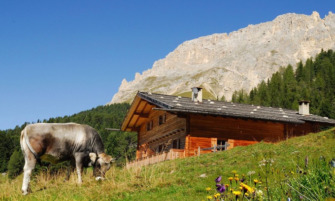 Obereggen Casa | Casa de vacaciones Ski-In "Thaleralm" en los Alpes con vistas a la montaña, terraza y jardín