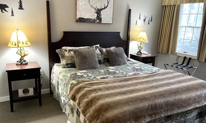 Hancock Apartamento | Ski On Off 1BR Suite 1st Flr Sleeps 4 Jiminy Peak