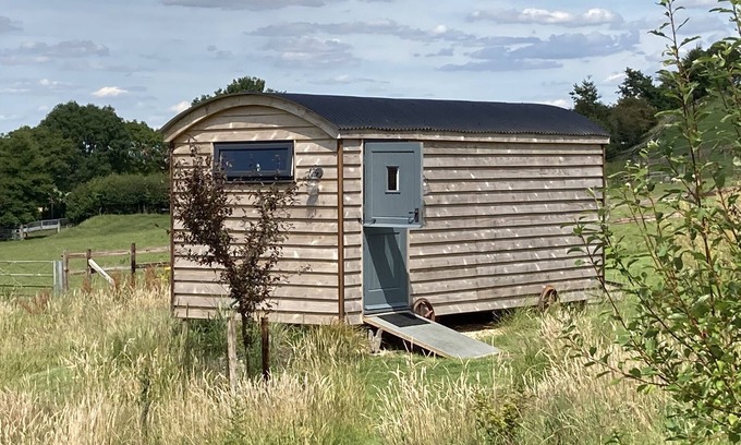 Edington Apartamento | Unidad-Baño Privado-Daisy Pod