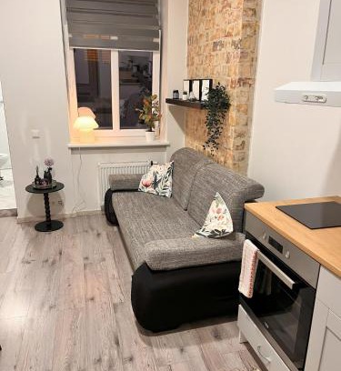 Vilnius Apartamento | Sleep in history COZY LOFT