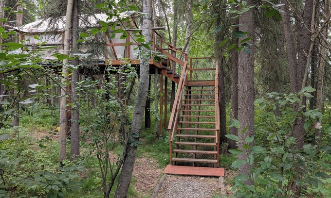 Fairbanks Cabina | Sleep Up in the Trees in Eagle's Nest Treehouse!