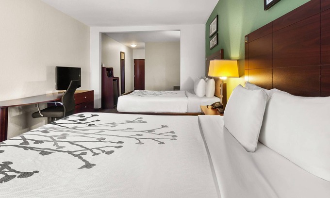 Humble Hotel | Sleep Inn & Suites Bush Intercontinental - IAH East
