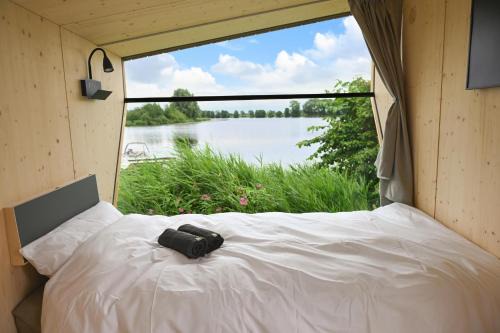 Suderstapel Casa | Sleep Space 2 - Green Tiny Spot Eider