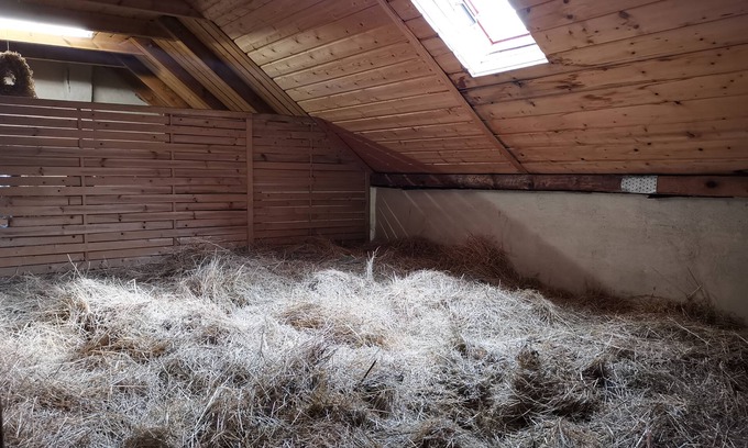 Lauta Casa | Dormir en la cama de heno / heno - Ferienhof Sarodnick