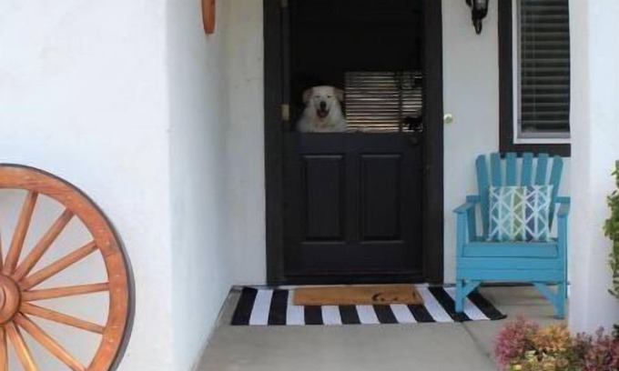 Fallbrook Cabaña | Sleeps 4. Private casita in the country.